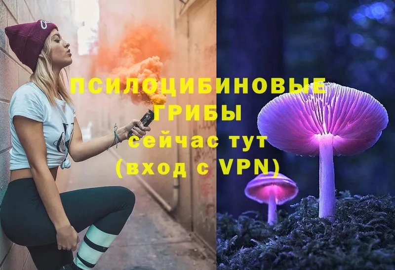 Псилоцибиновые грибы Psilocybine cubensis  сайты даркнета Telegram  Кандалакша  мега как войти 